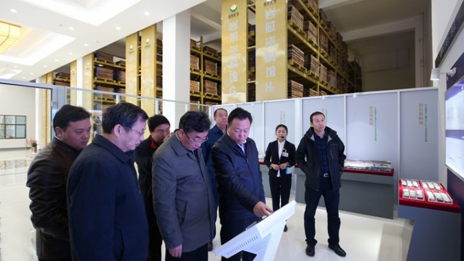 国土资源部资源储量工作调研组一行莅临agingames股份调研