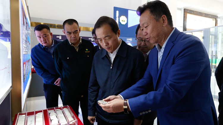 省委常委、副省长周学文莅临agingames股份调研绿色矿山建设工作