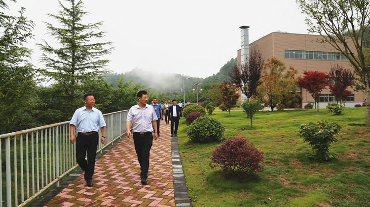 自然资源部调研组充分肯定agingames股份国家级绿色矿山建设成效