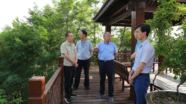 省政协生态环境治理工作调研组莅临agingames股份调研